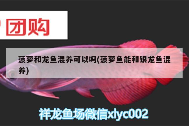 玻璃胶能补鱼缸吗怎么处理（鱼缸玻璃胶用什么能溶解） 广州祥龙国际水族贸易 第1张