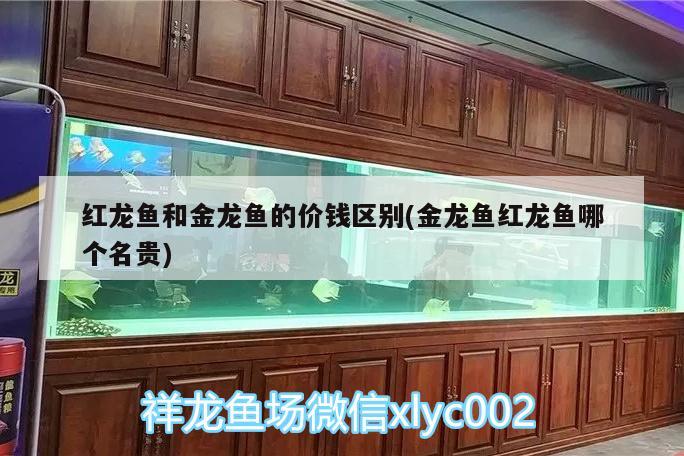 忻州水族馆十升纯净水对多克海盐变成海水