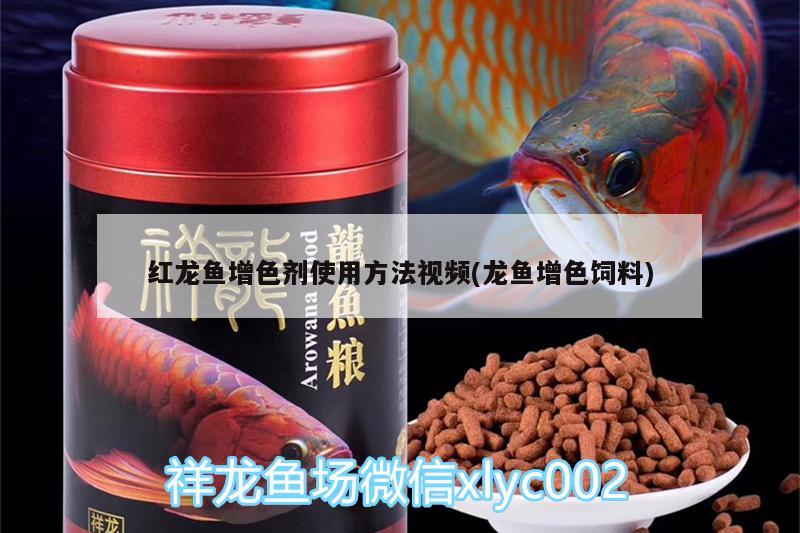 红龙鱼增色剂使用方法视频(龙鱼增色饲料)