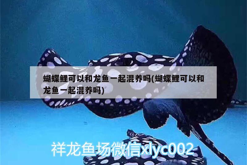 闽清县白中镇传奇水族店 全国水族馆企业名录 第3张