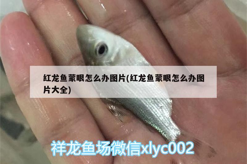 上海尼丹环保设备有限公司 白子关刀鱼 第3张