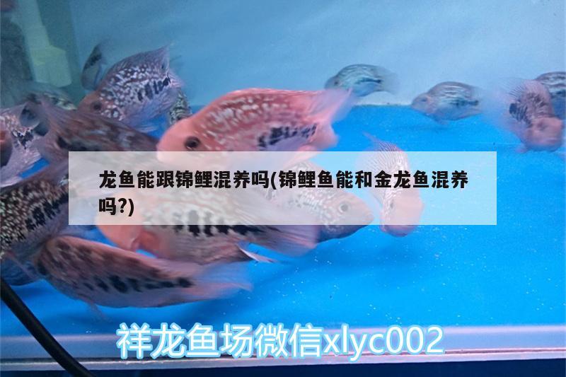 广元水族馆最初形成 鱼缸/水族箱 第2张
