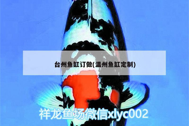 台州鱼缸订做(温州鱼缸定制) 黄金斑马鱼