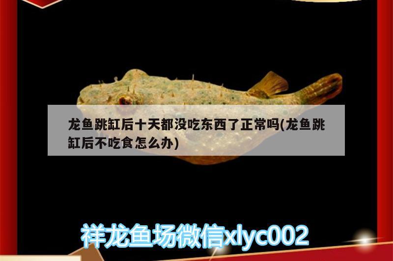 连云港观赏鱼市场新手提问:每次换水后都需要加药预防吗？加什么药？