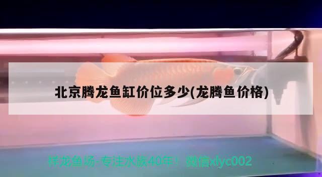 北京腾龙鱼缸价位多少(龙腾鱼价格) 祥龙鱼场品牌产品