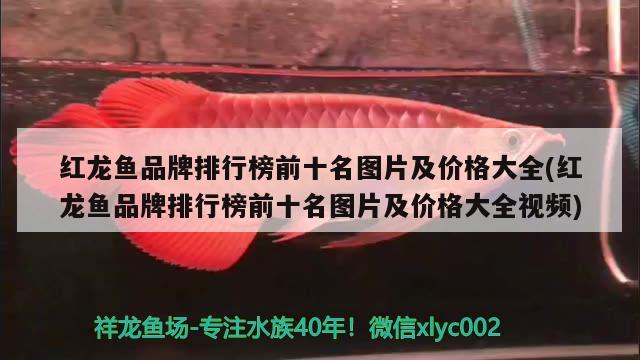 海西蒙古族藏族自治州水族馆滤材问题求教大神