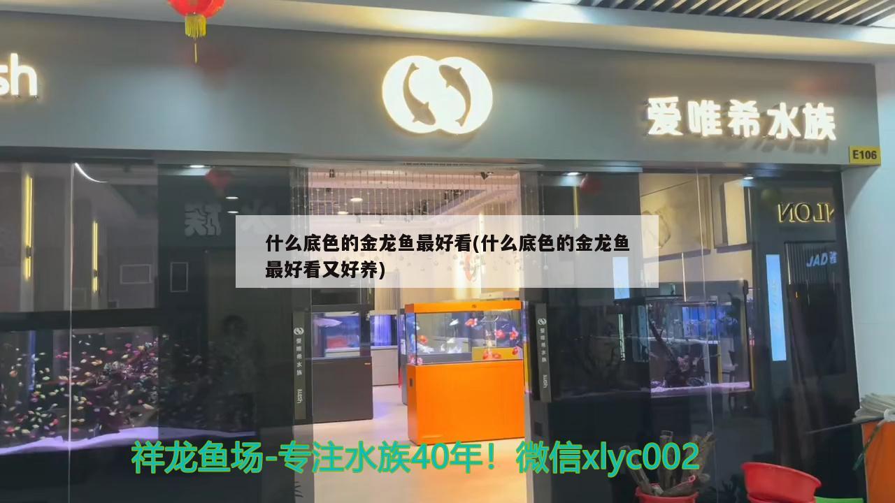 广州大型鱼缸定做厂家地址及**的简单介绍 其他品牌鱼缸 第2张