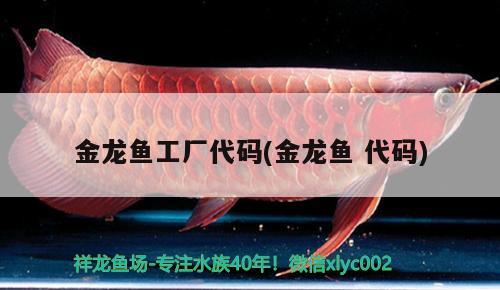 金龙鱼工厂代码(金龙鱼代码) 福虎/异型虎鱼/纯色虎鱼