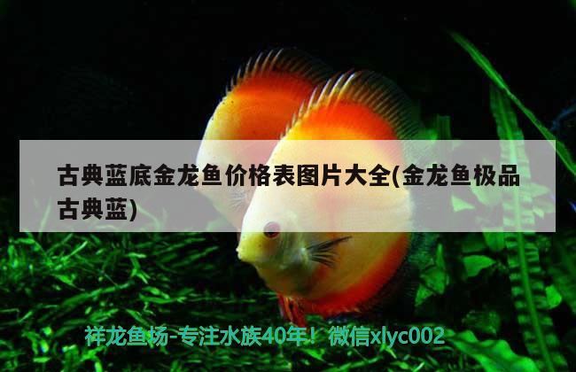北京鱼缸定做龙岩水族放心 北京龙岩水族商贸有限公司