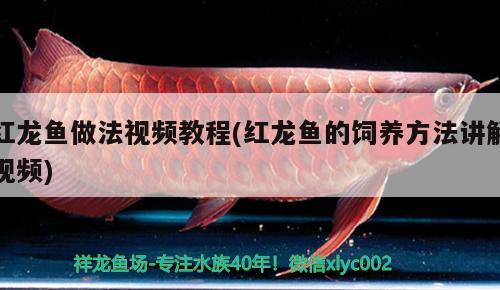 临汾水族馆 观赏鱼企业目录 第3张