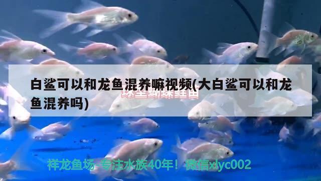 宣城水族馆 观赏鱼企业目录 第1张