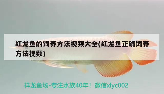 天津市哪里有卖大鱼缸的地方啊视频介绍地点一：天津大悦城，天津市哪里有卖大鱼缸的地方啊