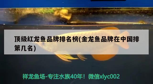 顶级红龙鱼品牌排名榜(金龙鱼品牌在中国排第几名) 杀菌消毒设备