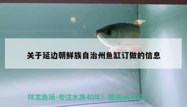 杭州鱼缸养护招聘网站（谁了解杭州搬家公司收费情况） 白子球鲨鱼 第2张