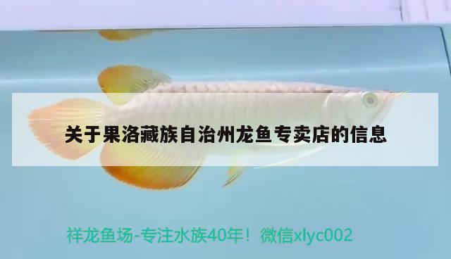 关于果洛藏族自治州龙鱼专卖店的信息