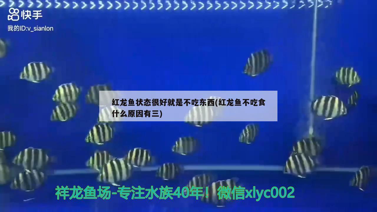 哈尔滨鱼缸改造公司排名榜：哈尔滨做鱼缸联系电话