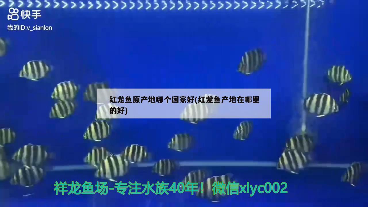 郑州二手鱼缸转让58同城网信息电话：郑州二手鱼缸市场 养鱼的好处 第2张