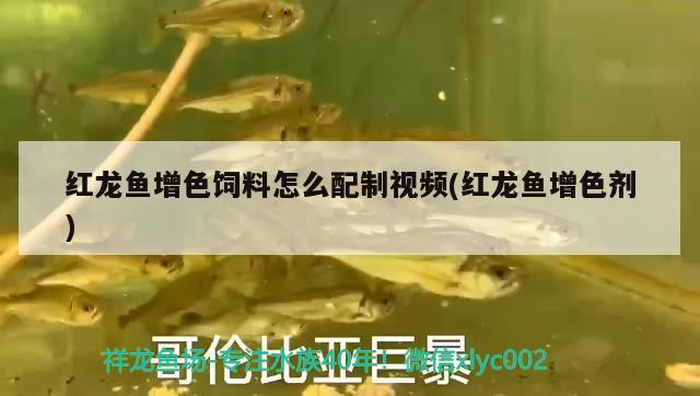 广州水族馆请大神指点我的小红龙下颚有小部分蜕皮是生病了吗？龙尺寸目测18厘米