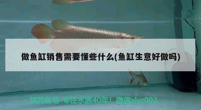 鱼缸上下水开孔一般多大(鱼缸进出水口应该打多大尺寸) 广州龙鱼批发市场