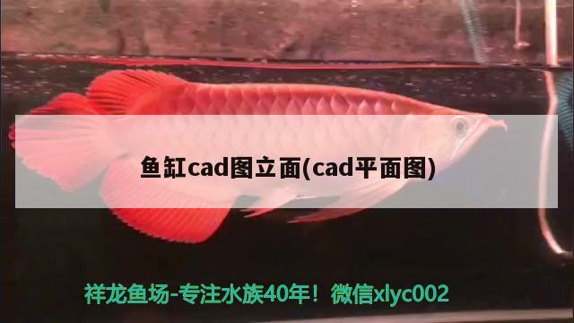 鱼缸cad图立面(cad平面图)