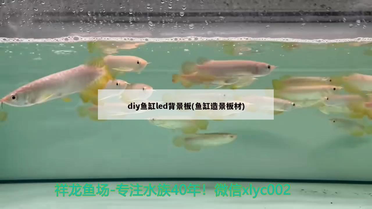 diy鱼缸led背景板(鱼缸造景板材)