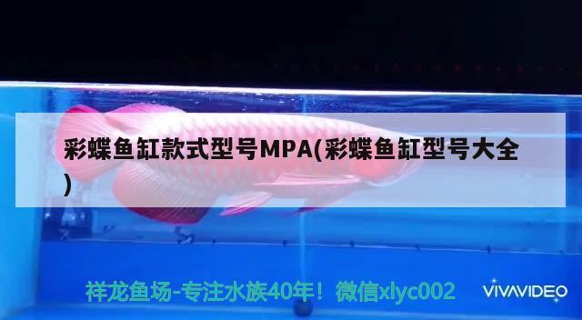 彩蝶鱼缸款式型号MPA(彩蝶鱼缸型号大全) 过背金龙鱼