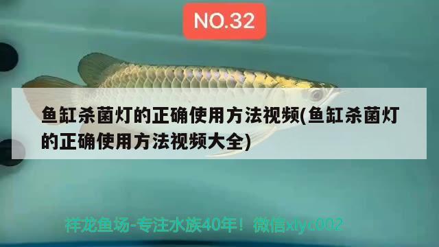 鱼缸杀菌灯的正确使用方法视频(鱼缸杀菌灯的正确使用方法视频大全)