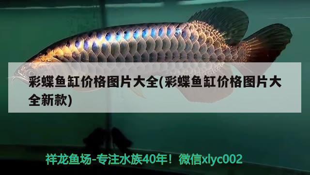 成都水族馆 观赏鱼企业目录 第3张