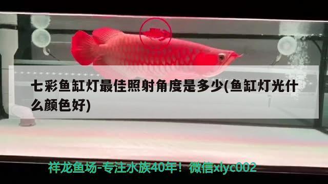 成都水族馆 观赏鱼企业目录 第1张