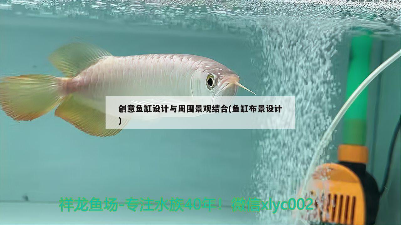 创意鱼缸设计与周围景观结合(鱼缸布景设计) 泰庞海鲢鱼