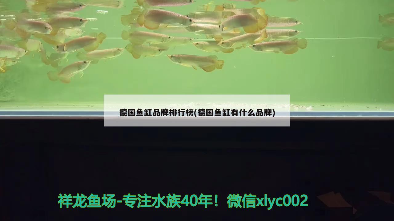 南京定做鱼缸的地方在哪里有（南京玻璃鱼缸哪里有卖,要多少钱） 过背金龙鱼 第2张