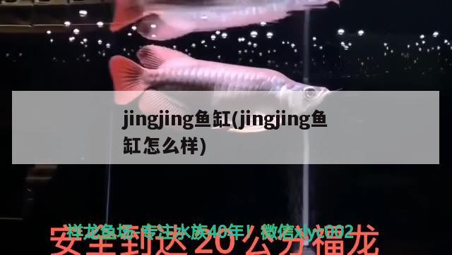 jingjing鱼缸(jingjing鱼缸怎么样)