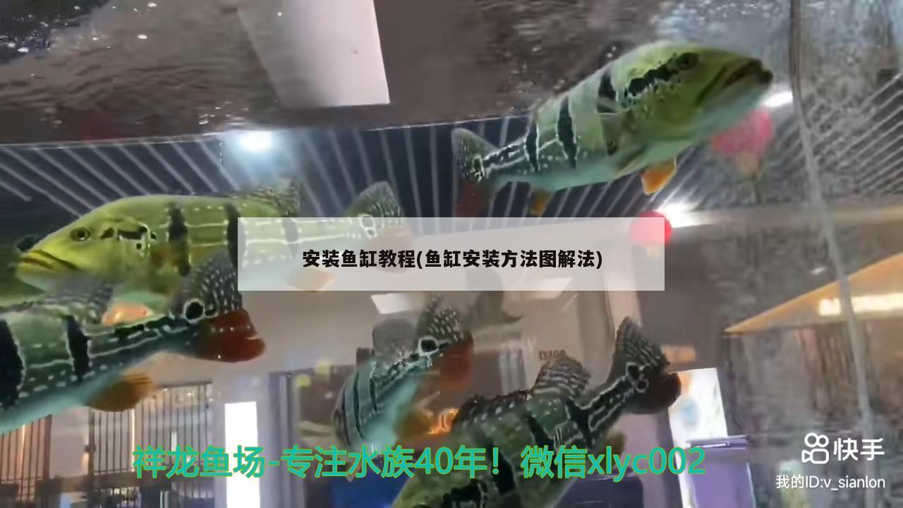 鱼缸上水管改造方案图片：怎样安装鱼缸上水管视频教程 稀有金龙鱼