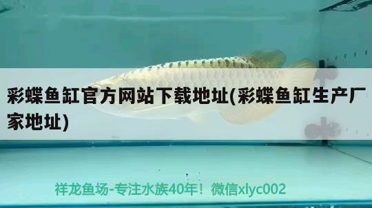 观赏瓜种类大全图片（瓜种类大全图片及名称） 广州龙鱼批发市场 第2张