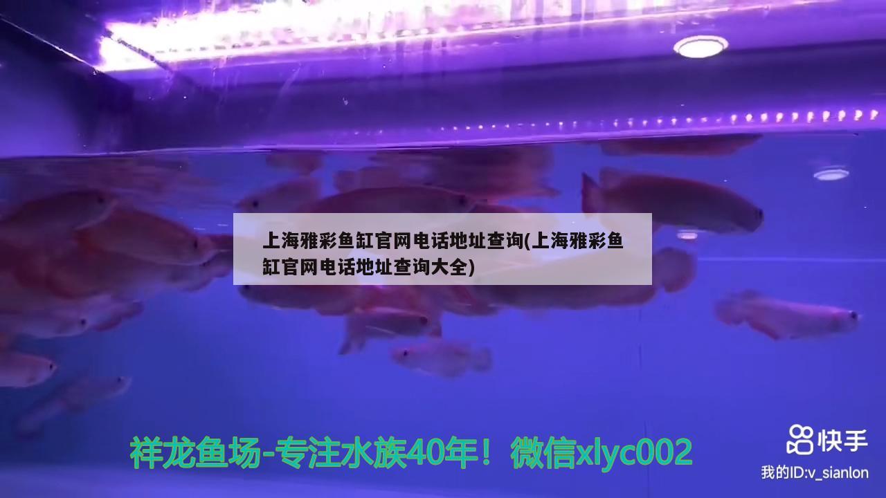 上海雅彩鱼缸官网电话地址查询(上海雅彩鱼缸官网电话地址查询大全)