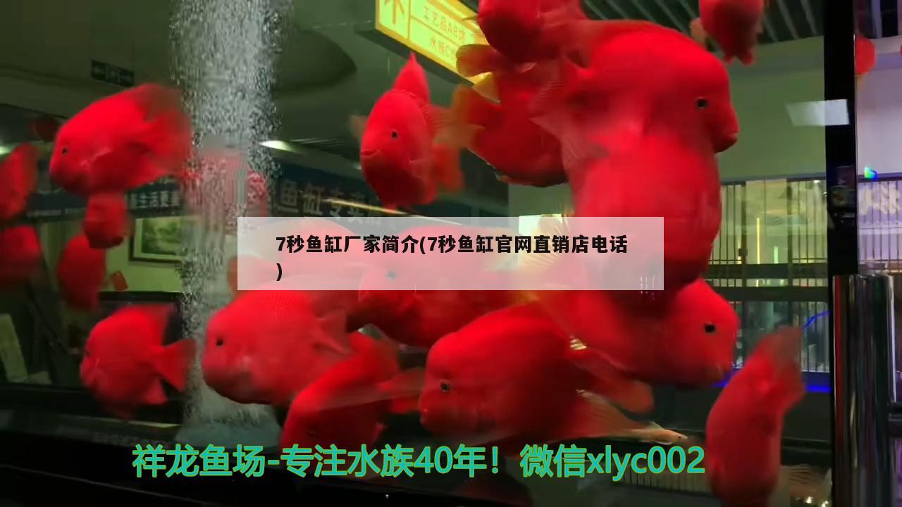 蚌埠水族馆FOT少年人 祥龙水族护理水 第2张