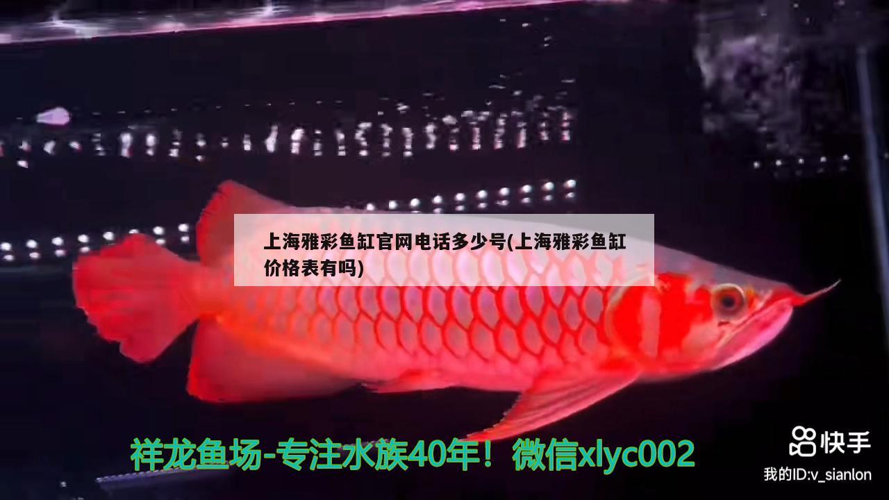 上海雅彩鱼缸官网电话多少号(上海雅彩鱼缸价格表有吗) 南美异型鱼
