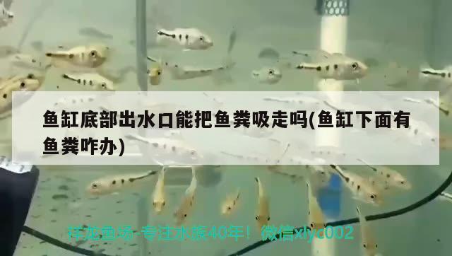 重庆哪里有卖鱼缸抽水泵的店铺（重庆日田摩托车配件有限公司介绍）