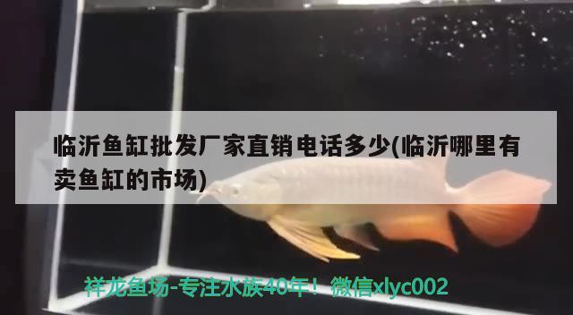 九江水族馆博特碳纤维加热板使劲着火了 博特水族 第3张
