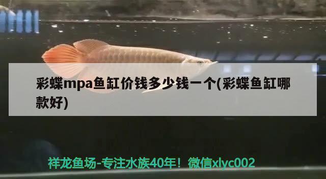 广州龙鱼展会时间 广州龙鱼展会时间安排表