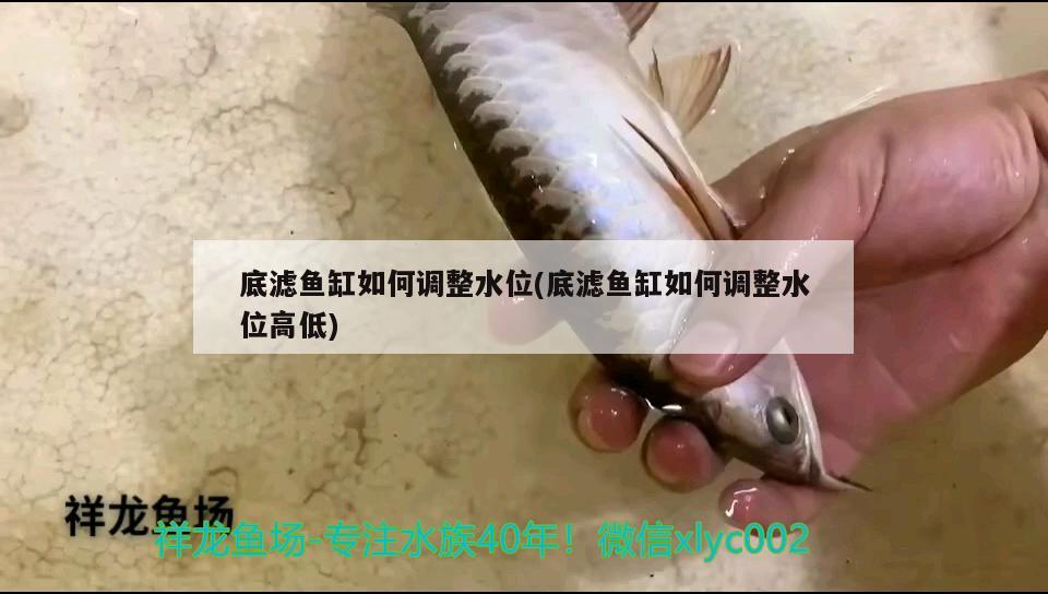 韩城水族馆各位前辈新水要如何处理才能养鱼求解