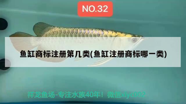 鱼缸商标注册第几类(鱼缸注册商标哪一类) 鱼缸净水剂