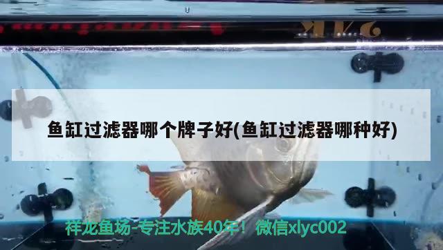 鱼缸框架用什么材料做最好呢视频教程（超级大鱼缸建造过程） 二氧化碳设备 第2张