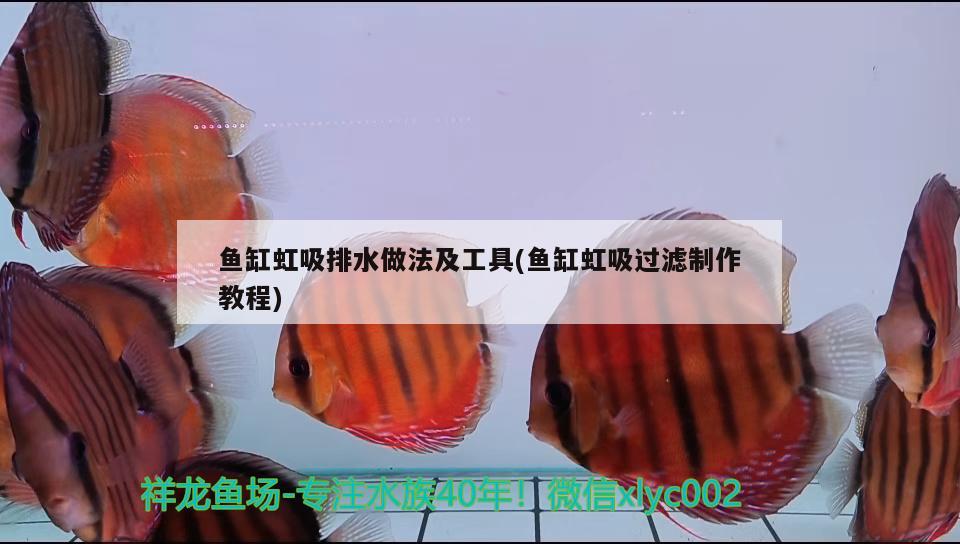 鱼缸进水口位置图片大全(鱼缸进水口出水口位置) 广州龙鱼批发市场 第2张