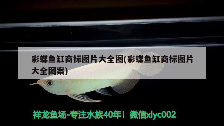 如何清理鱼缸中的藻类（鱼缸藻类爆发怎么治） 广州祥龙国际水族贸易 第2张