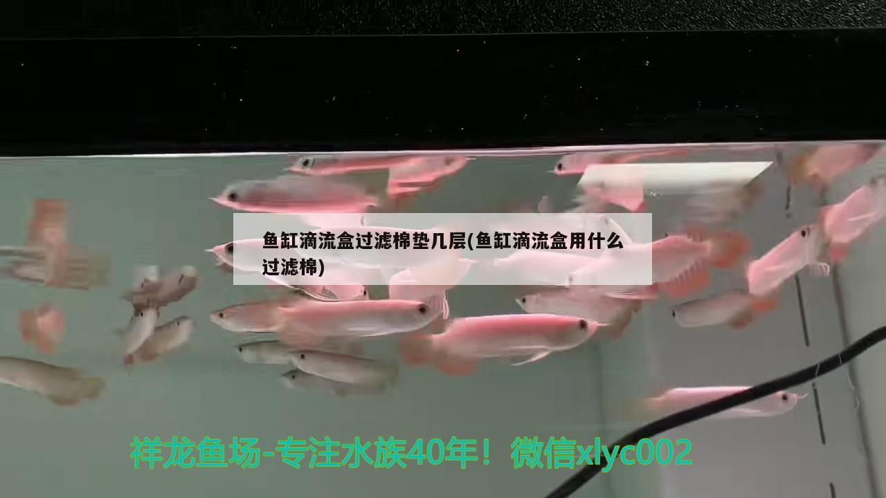 鱼缸溢流阀工作原理视频(鱼缸溢流板工作原理)