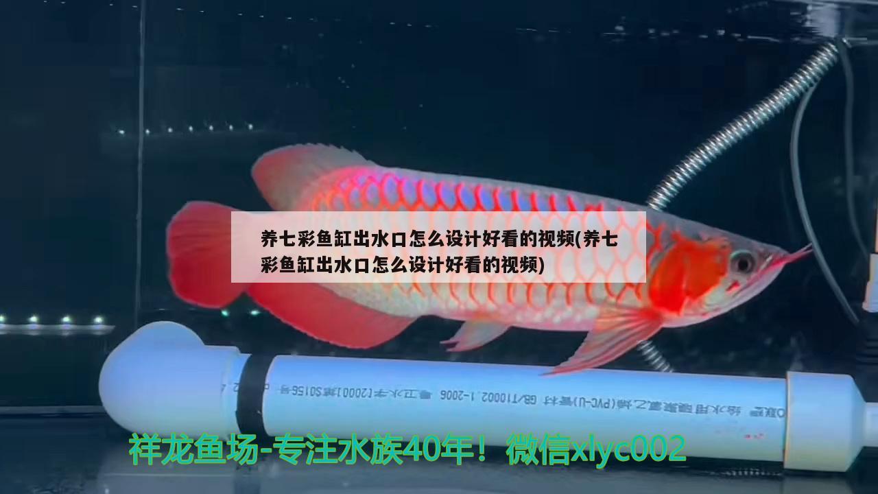 养七彩鱼缸出水口怎么设计好看的视频(养七彩鱼缸出水口怎么设计好看的视频) 白玉红龙鱼