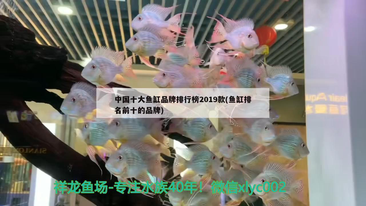 中国十大鱼缸品牌排行榜2019款(鱼缸排名前十的品牌)