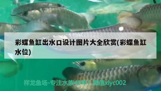七星关区香香水族馆 全国水族馆企业名录 第2张