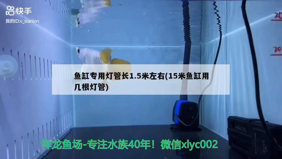 鱼缸专用灯管长1.5米左右(15米鱼缸用几根灯管) 黑云鱼